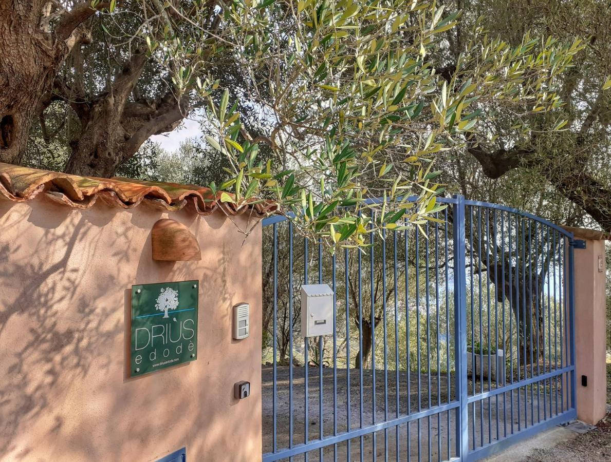 Torraca Drius Edode - B&B Affittacamere מראה חיצוני תמונה