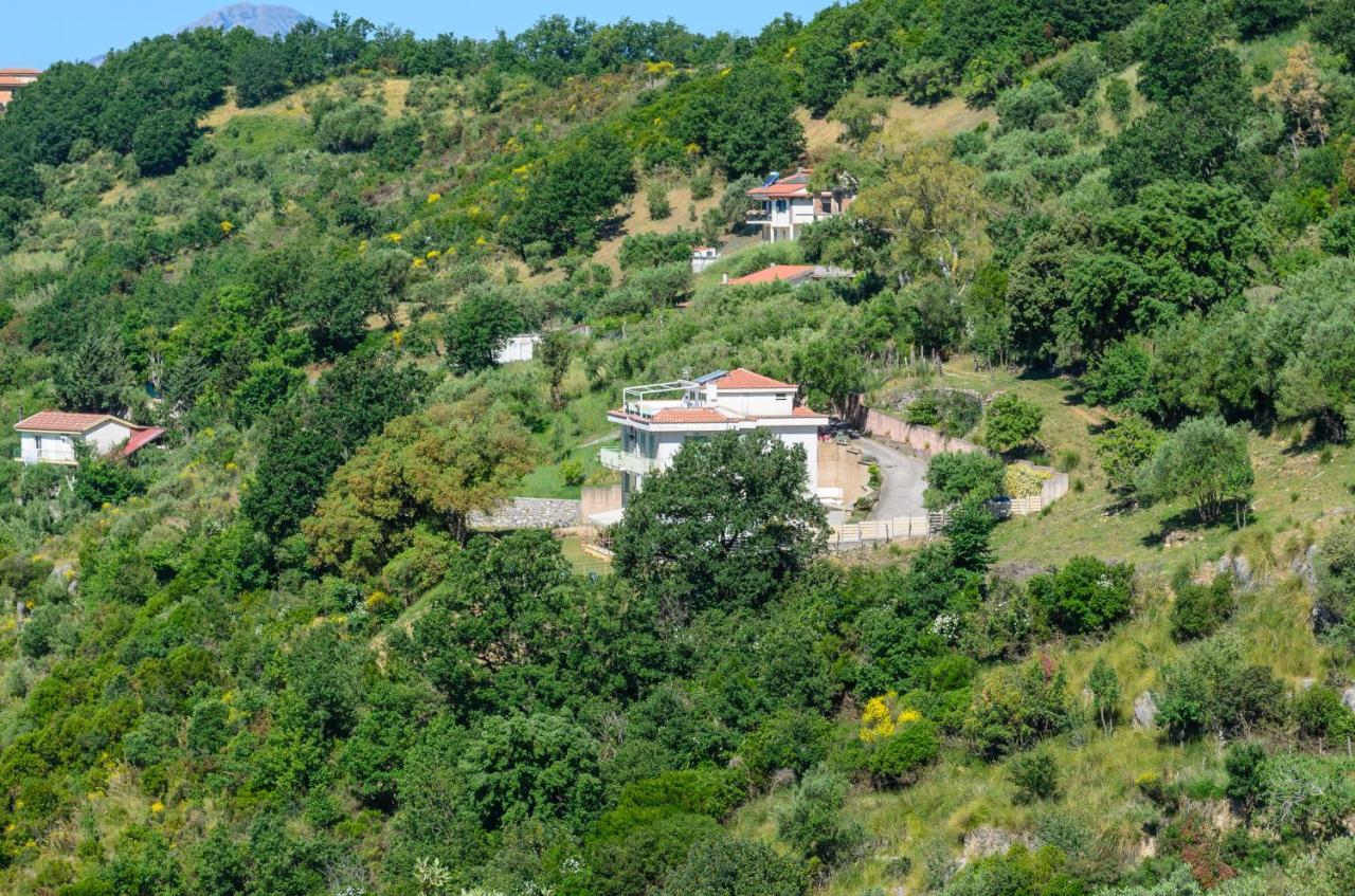 Torraca Drius Edode - B&B Affittacamere מראה חיצוני תמונה